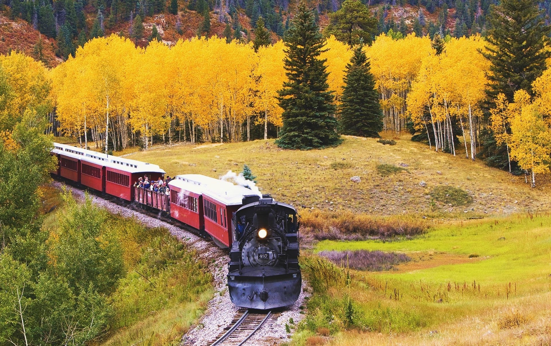 locomotora naturaleza tren otoño palmeras