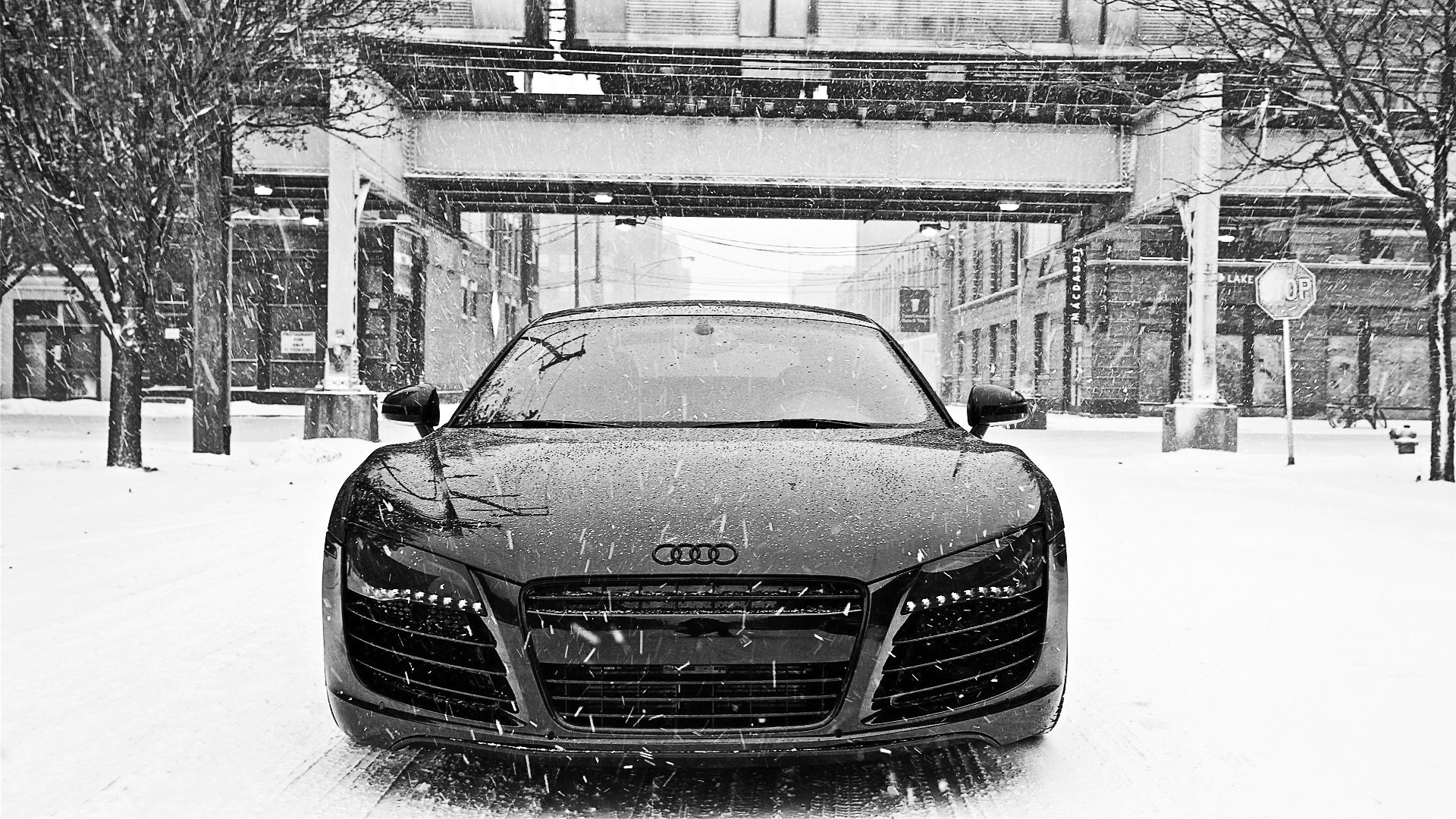 audi black