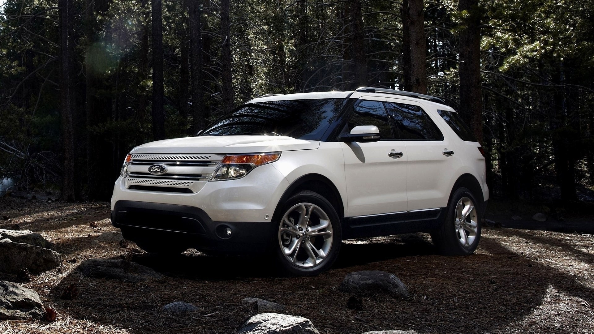 ford voiture explorateur bois forêt gris