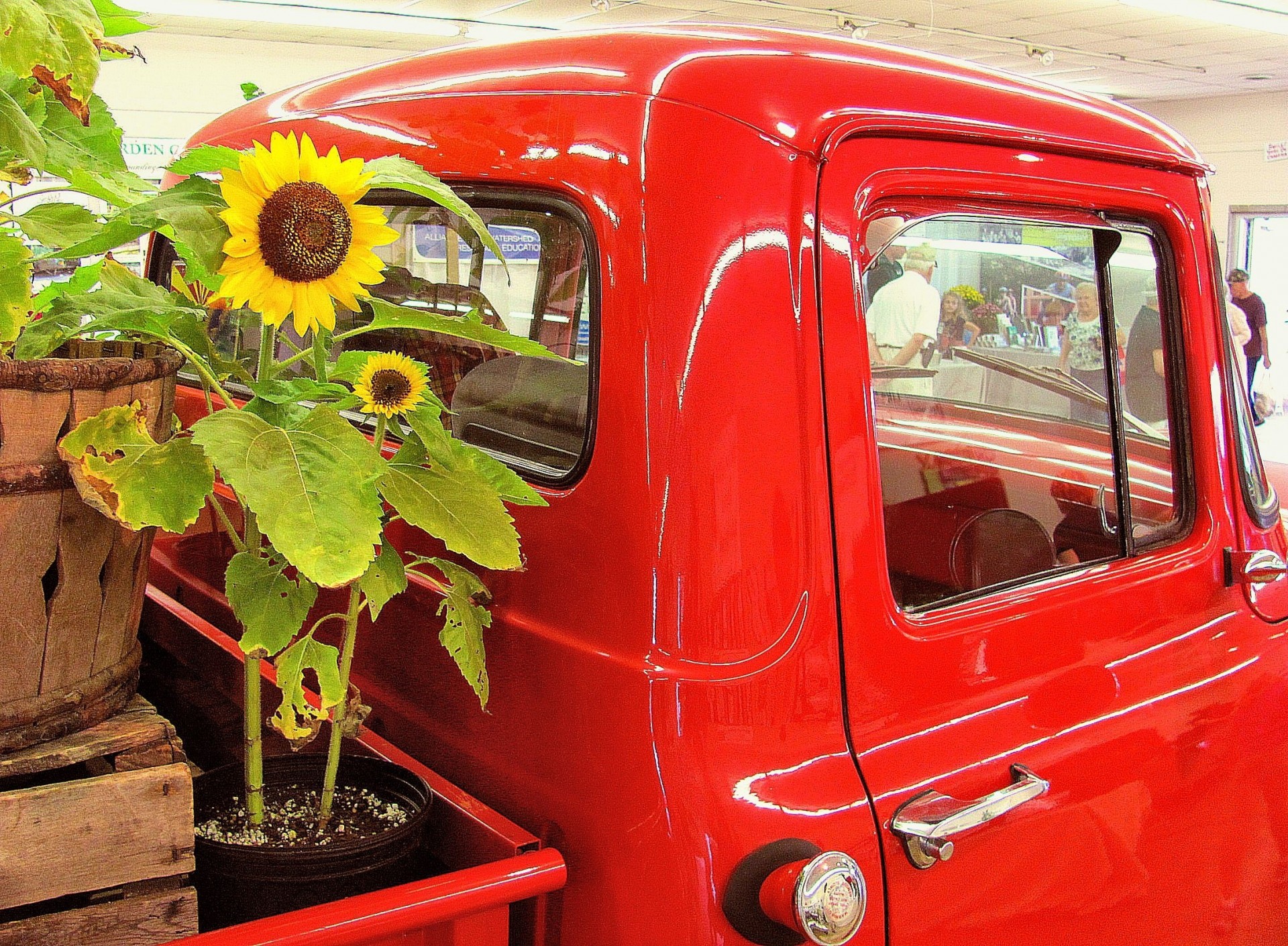 lkw auto land sonnenblume