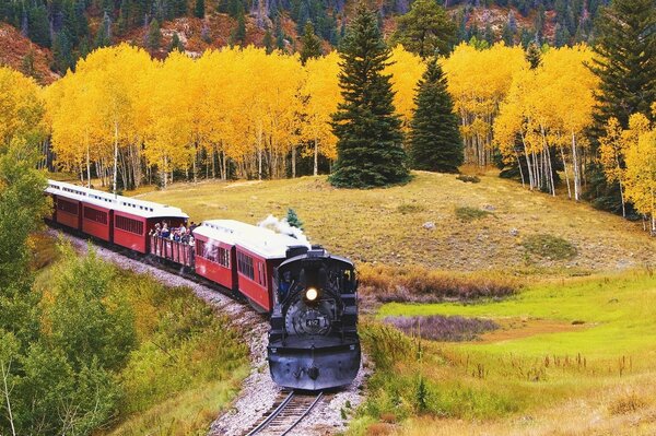 Vintage Zug auf dem Hintergrund des Herbstwaldes