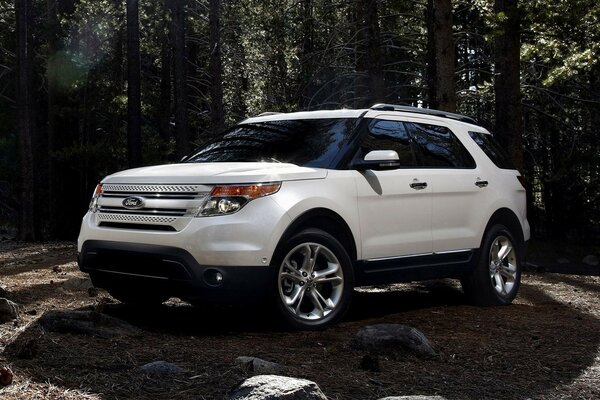 Ford blanco entre los árboles en el bosque