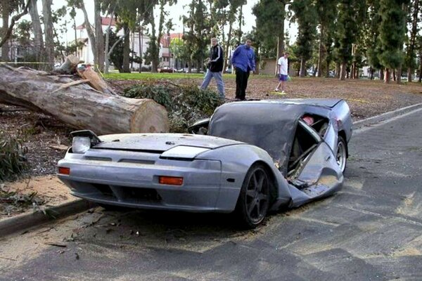 Ein Baum fiel auf ein Auto. Unfall