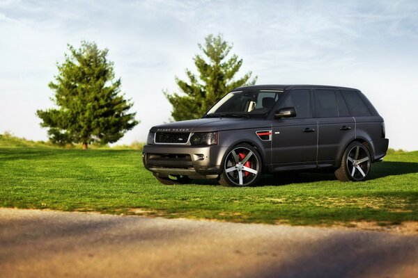 A land Rover SUV is parked in a meadow