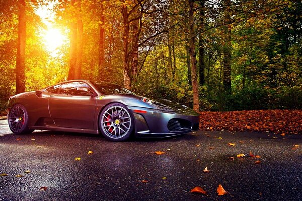 Autumn sunset, a road of leaves leading to the forest