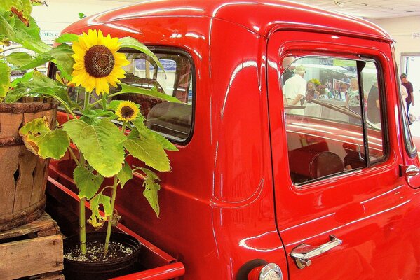 Ein roter LKW, dessen Karosserie eine Sonnenblume ist