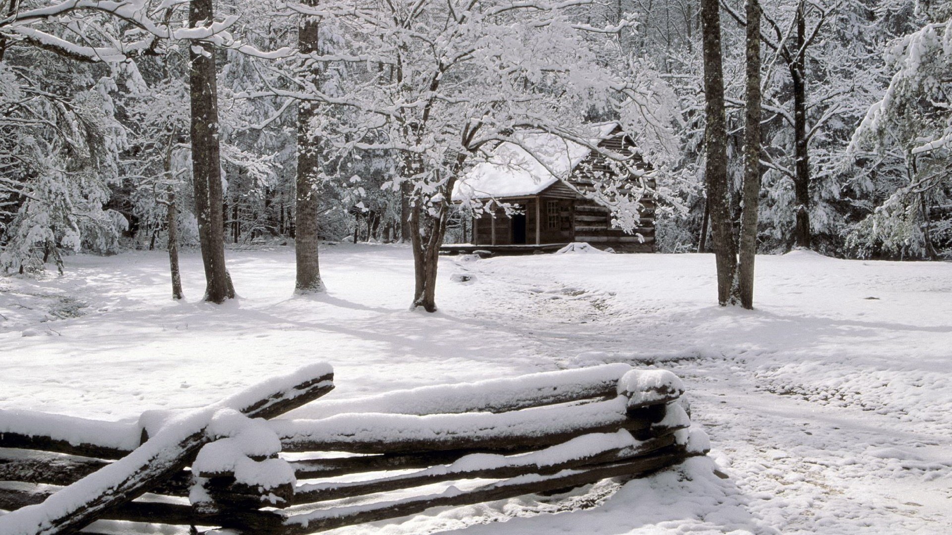 cerca casa del guardabosques cubiertas de nieve invierno bosque nieve derivas troncos