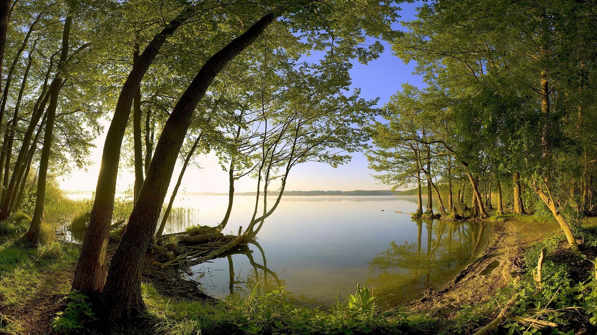 geistiges gleichgewicht sommerlandschaft ecke wald wasser dämmerung sonne strahlen natur landschaft ufer ruhe stille