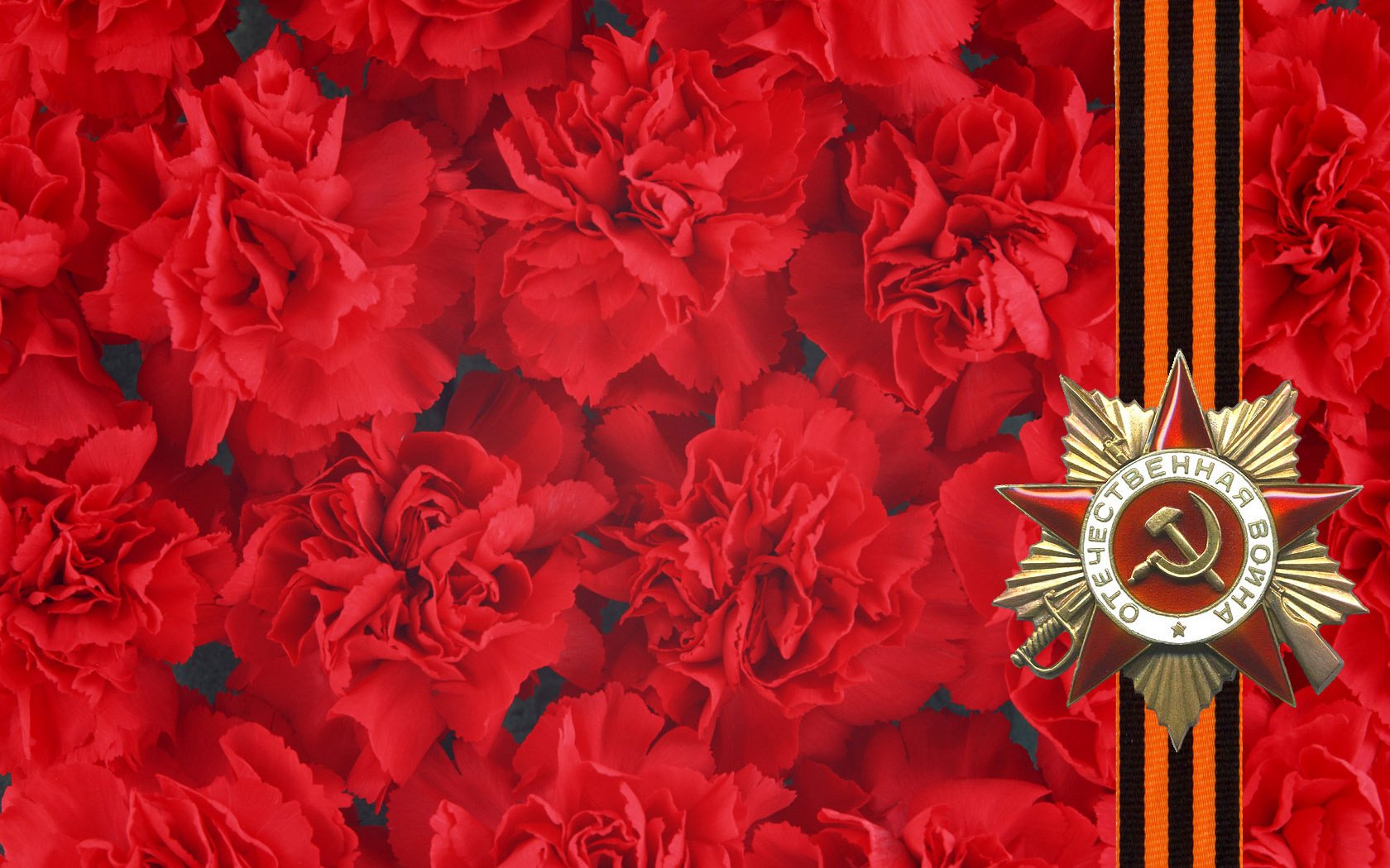 flowers carnations ribbon star orders victory wwii ussr order St. george ribbon may 9 victory day