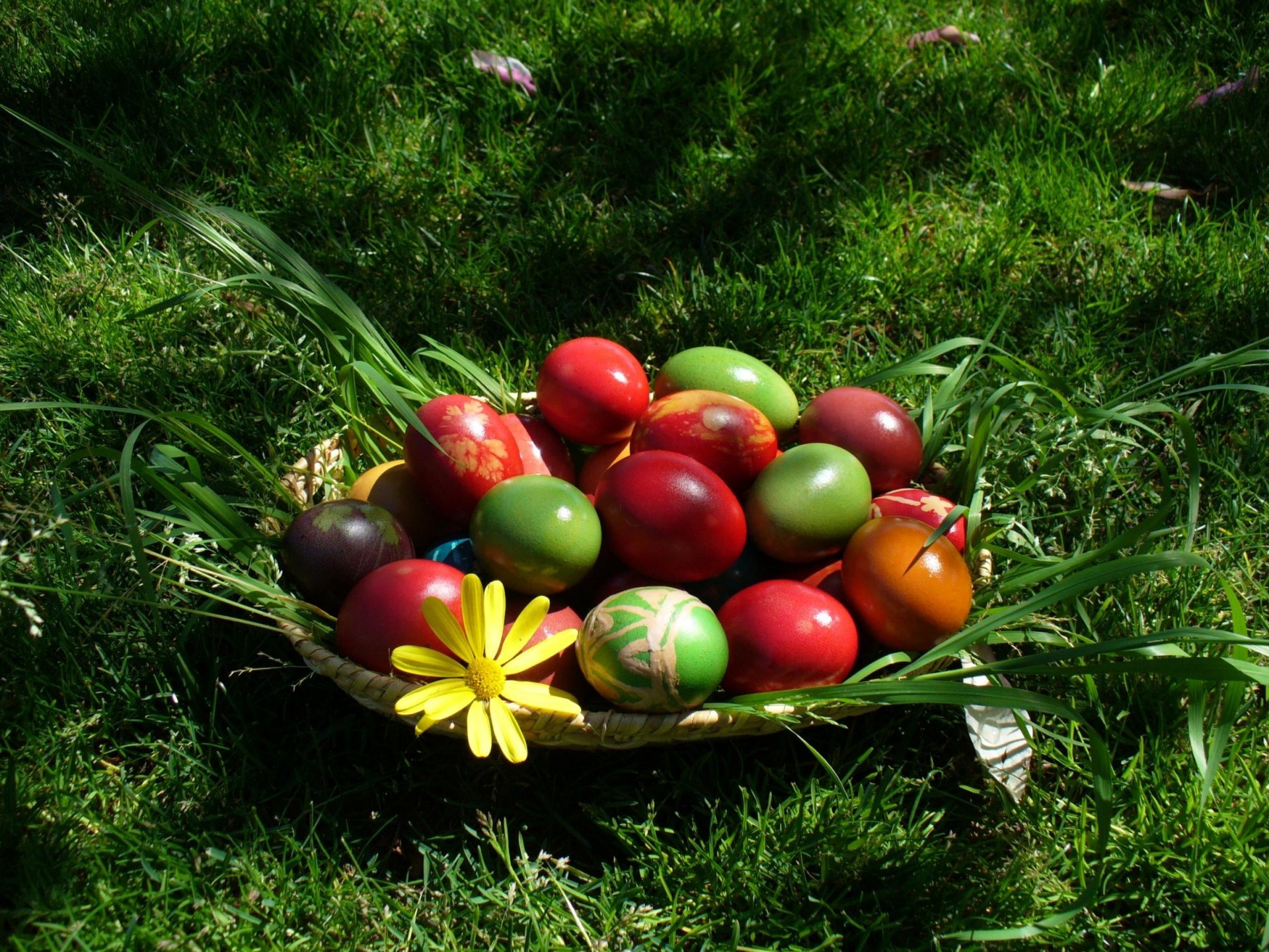 korb mit hoden bunt grünes gras ostern krashanki blume blätter gras eier