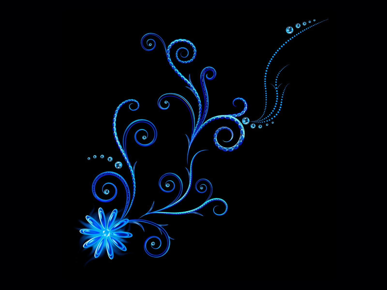 abstract black background vector line flower bend