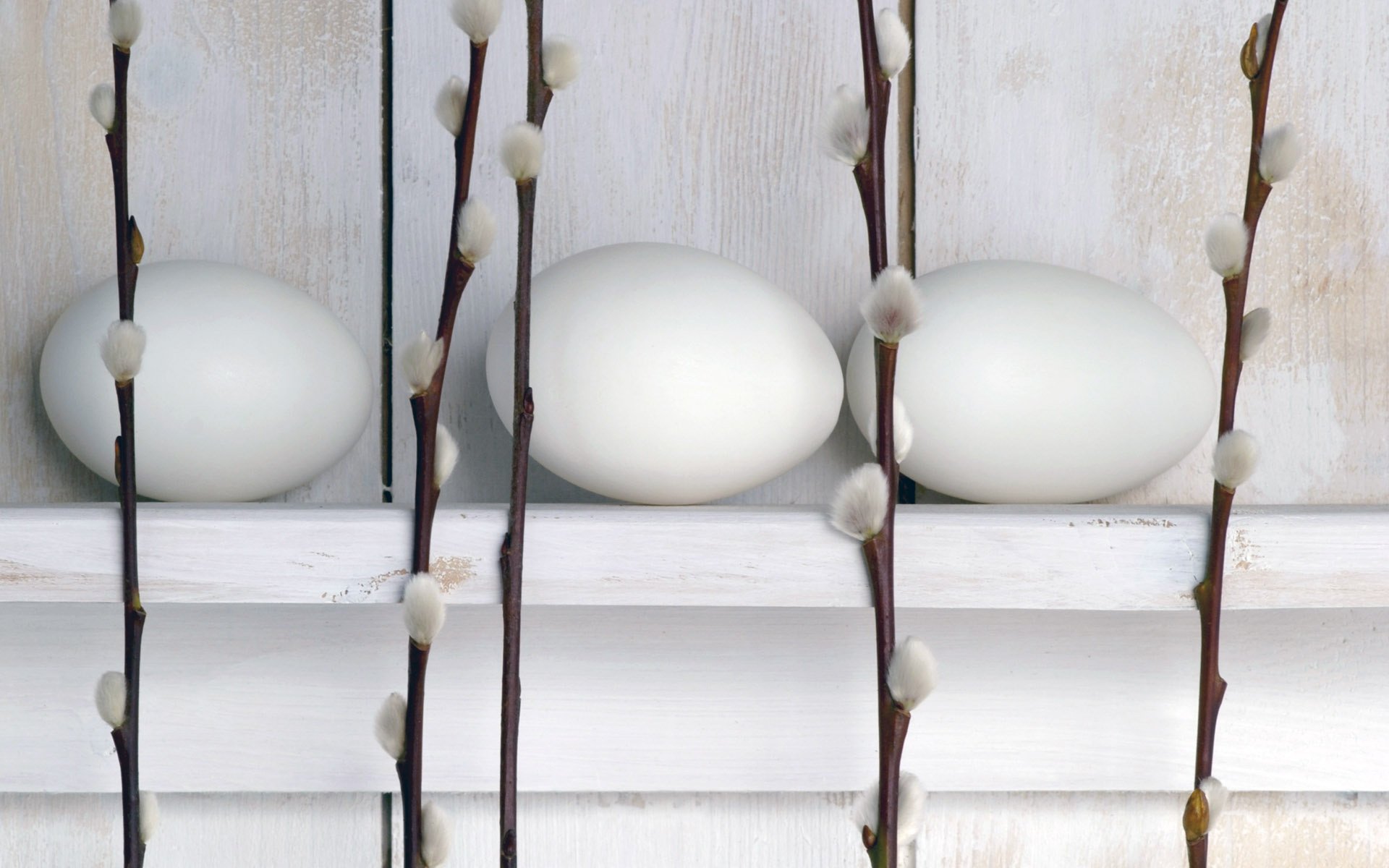 white eggs verba holiday easter palm sunday twig