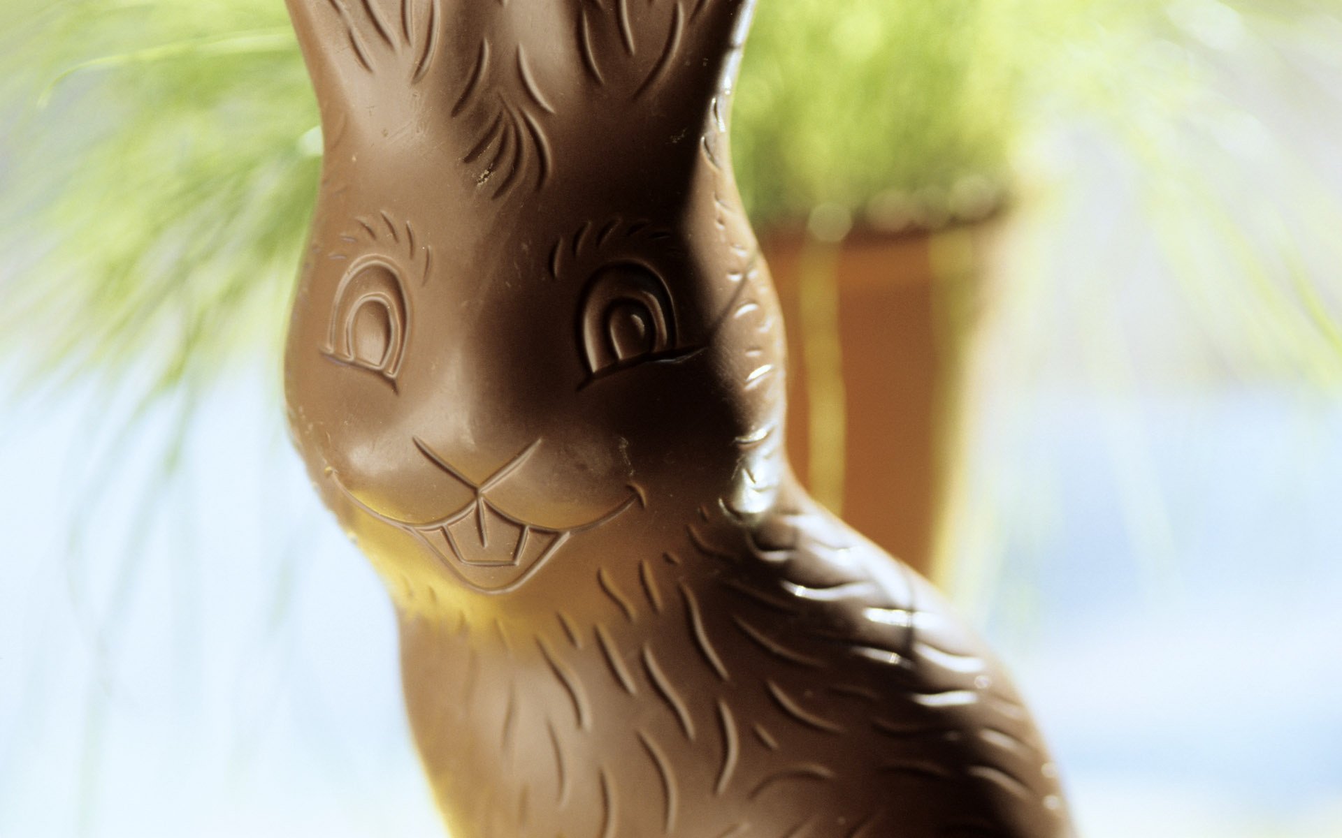 easter chocolate bunny smile