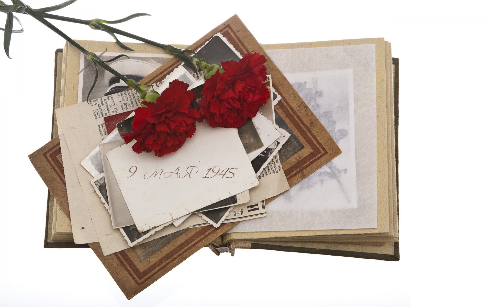 dead people flowers two cloves carnation memory victory day wwii ussr victory may 9 holiday photo album white background