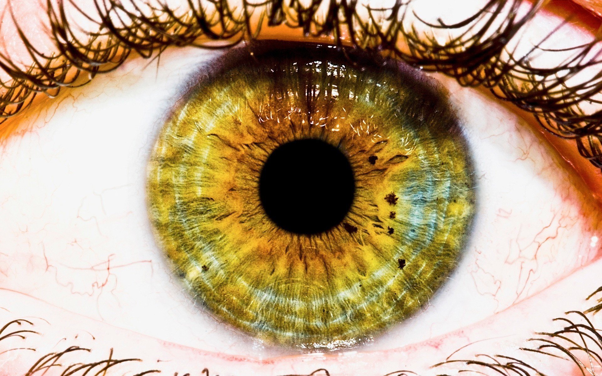 cornea retina eyes bright colors cilia macro girl