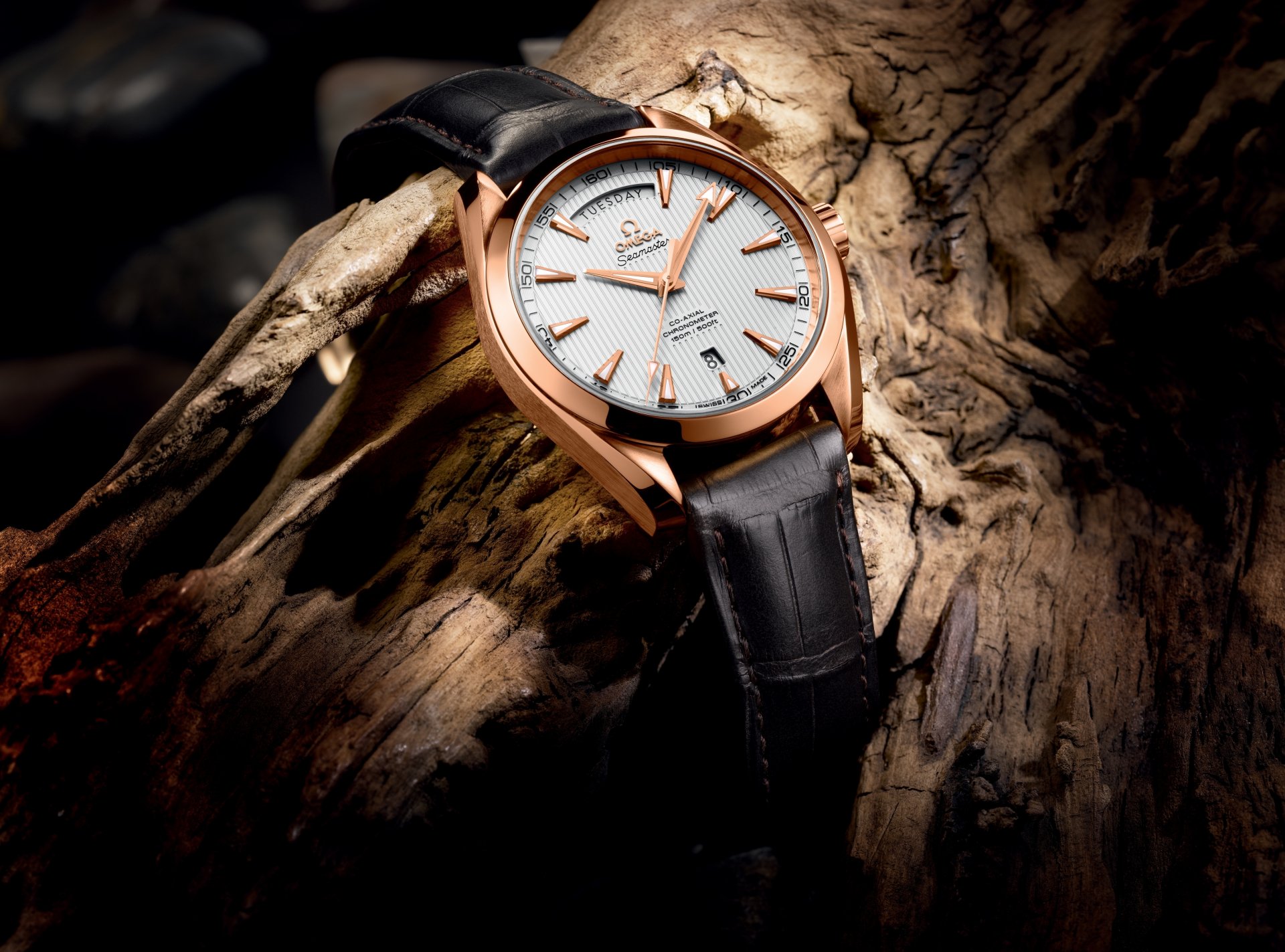 watches omega baselworld 2013-the seamaster aqua terra day-date