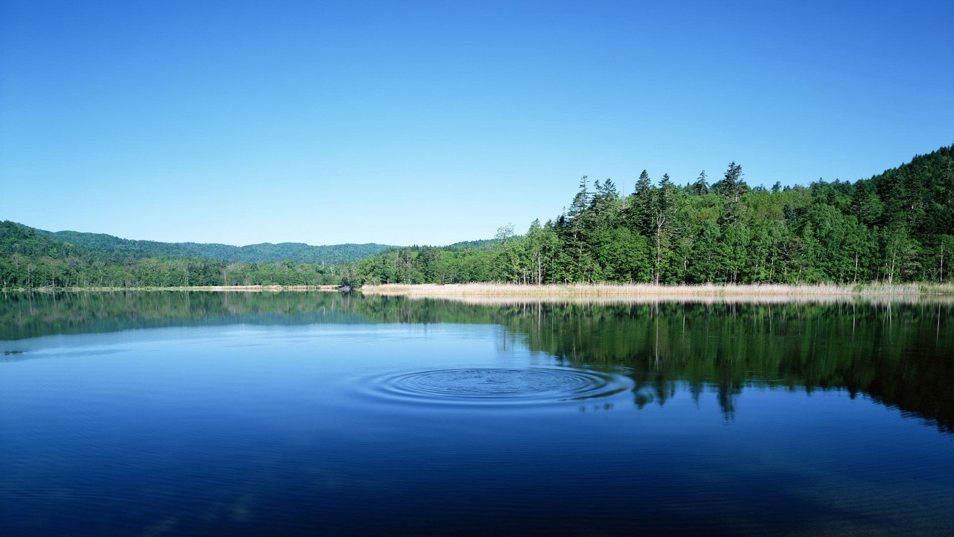 bulk wasserkreise wald himmel wasser