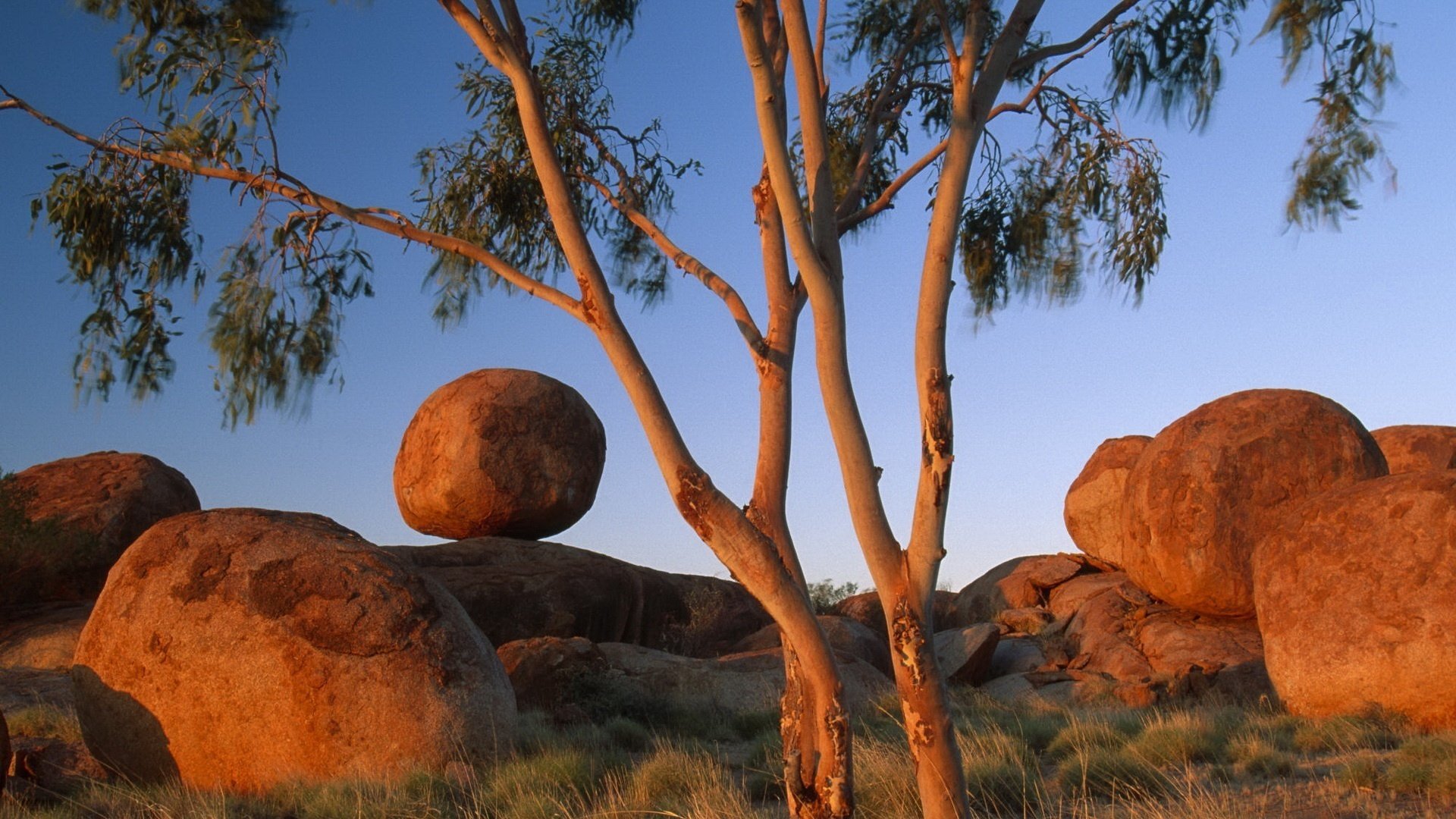 piedras de arena redondeado grande piedras árbol puesta de sol naturaleza hierba