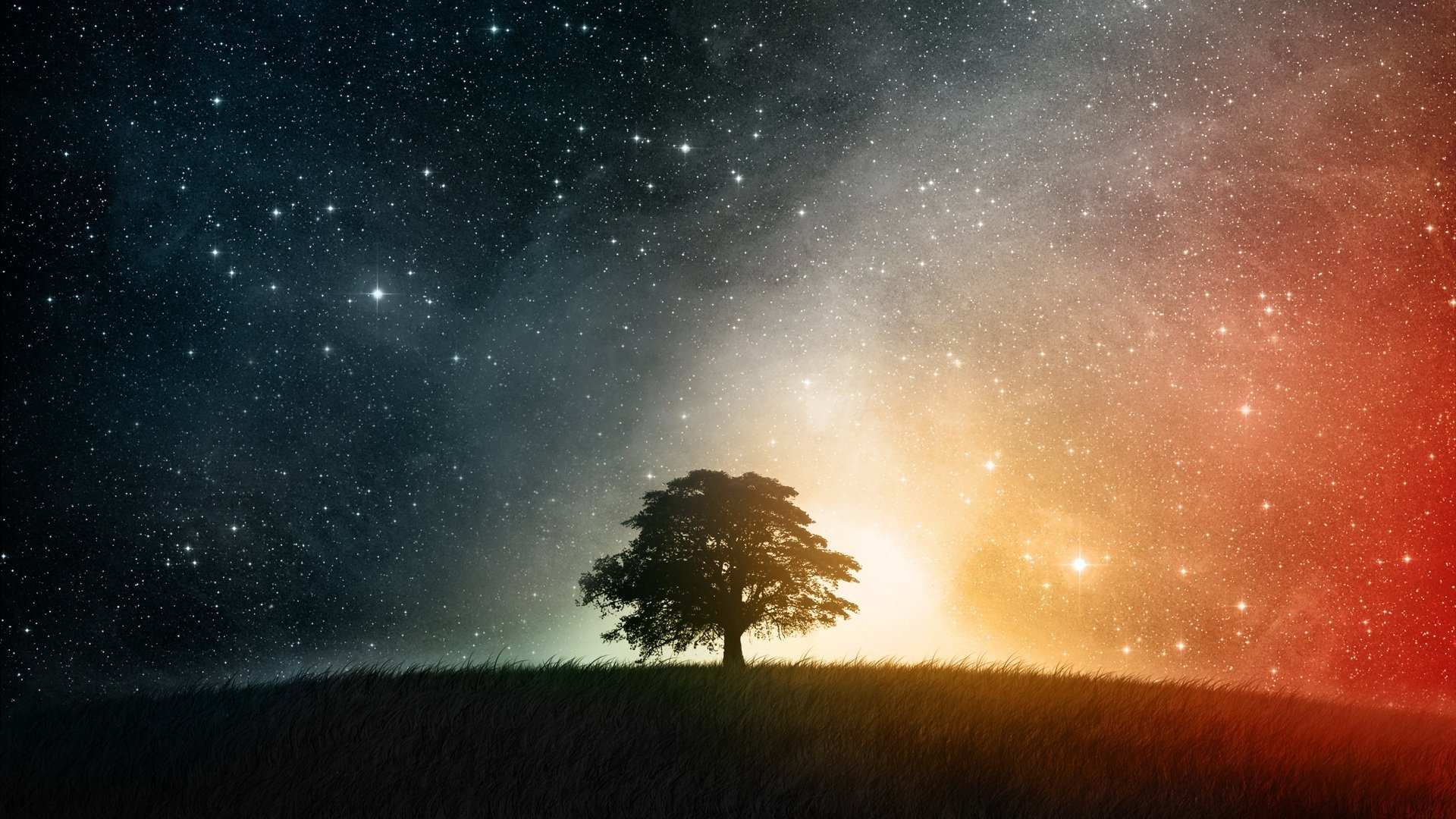 ciel nocturne étoiles arbre herbe arbre solitaire nuit lumière vive nature