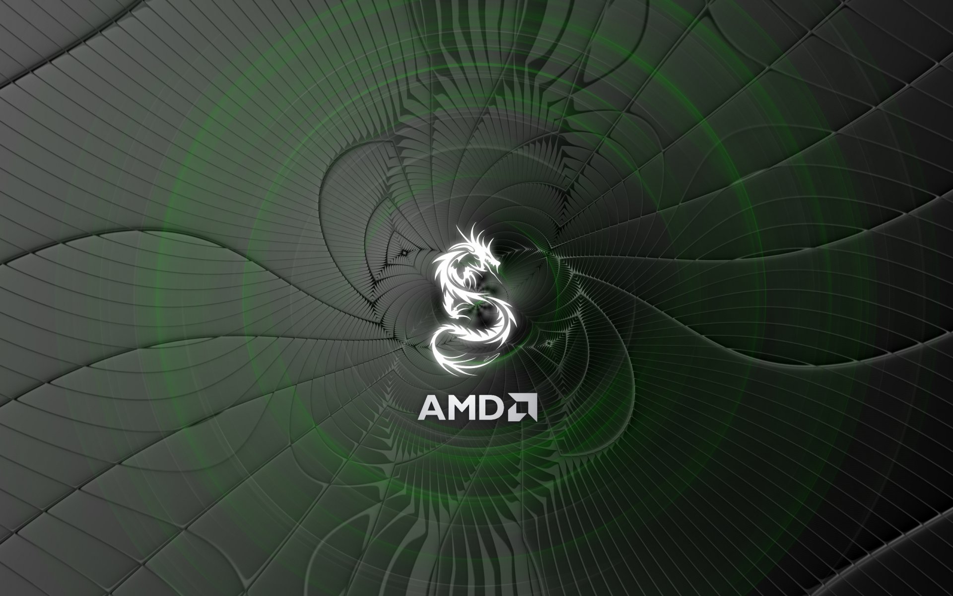 amd logo computer photo