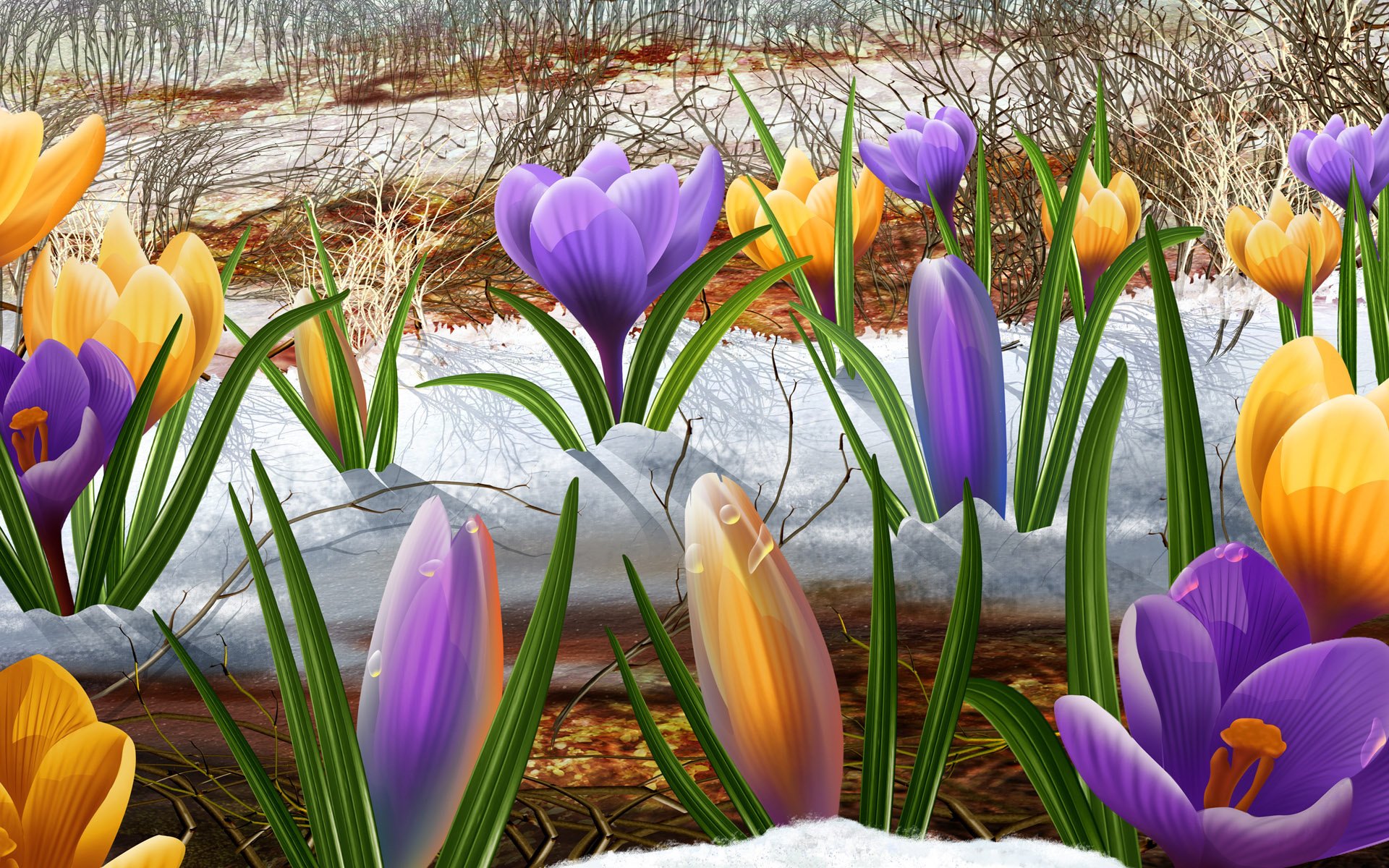 fiori bucaneve creature viola neve primavera vacanza cumuli di neve fusione terreno freschezza bellezza