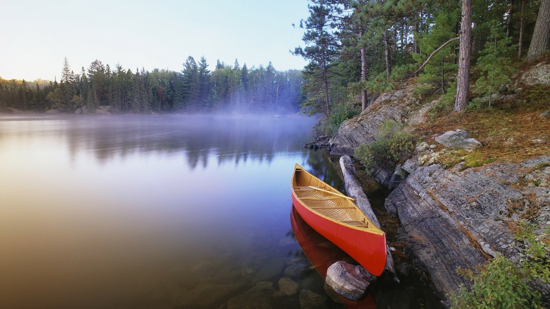 barco en la orilla niebla de la mañana calma bosque río fresco orilla abetos árboles niebla