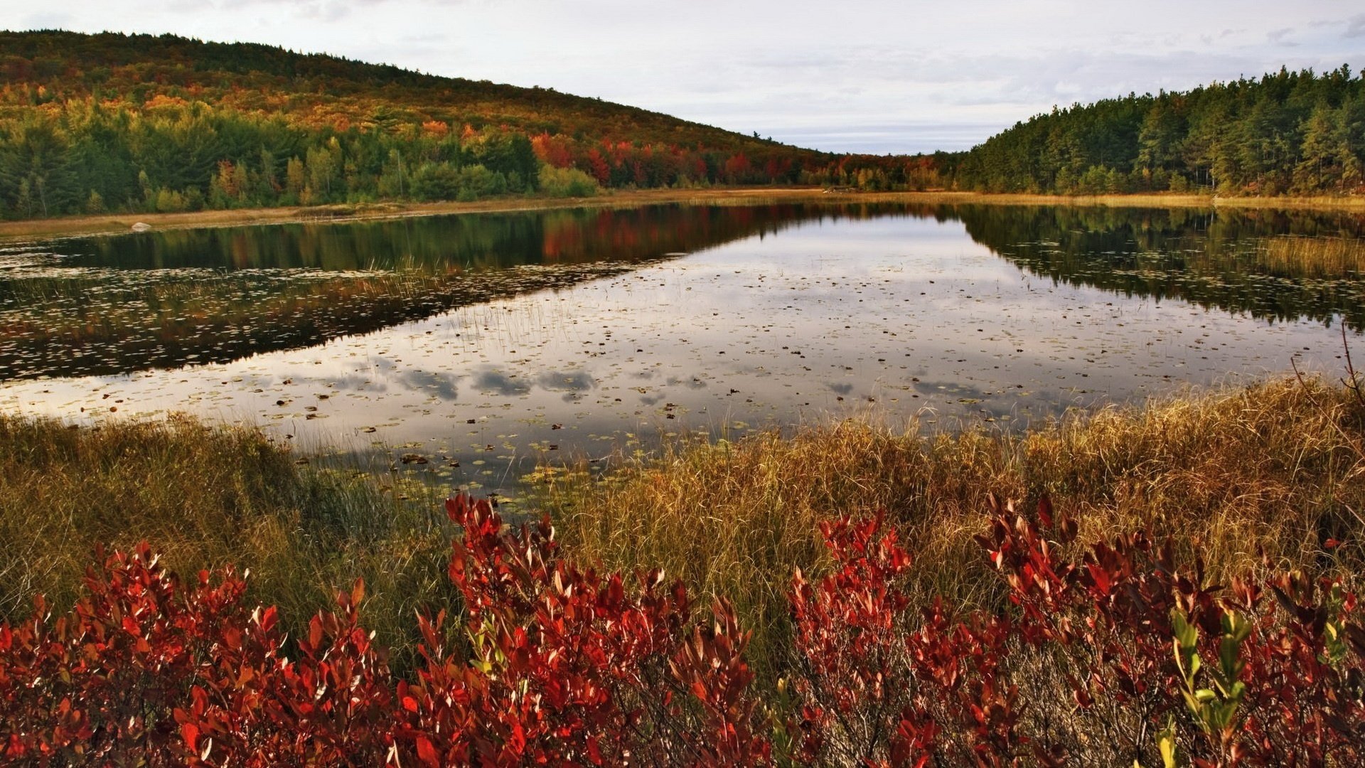 ufer am see laub auf dem wasser rote blätter herbst berge see wald schönheit herbstfarben reflexion himmel