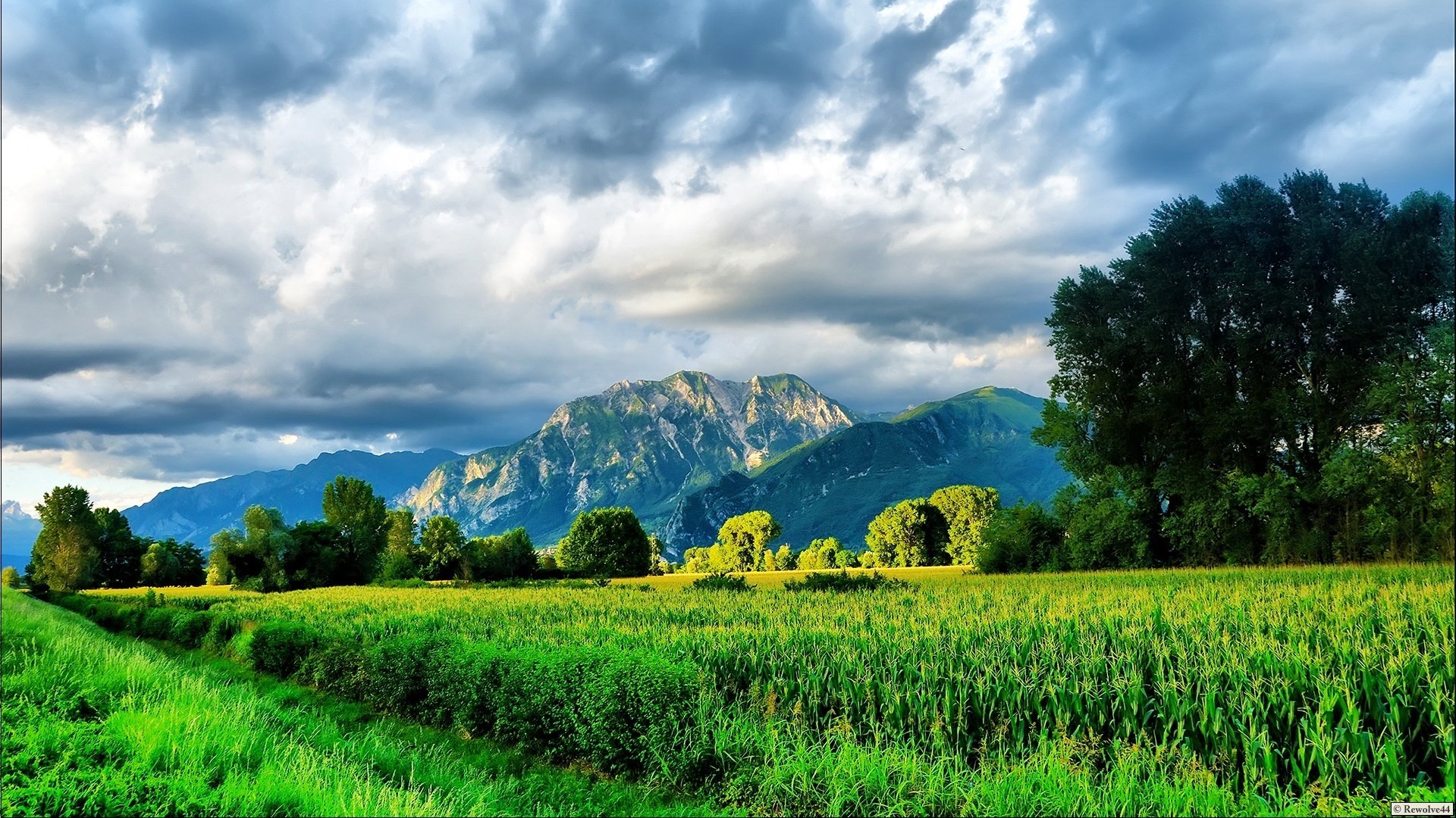 bright colors nature artist mountains greenery grass bushes trees sky clouds clouds cleanliness field