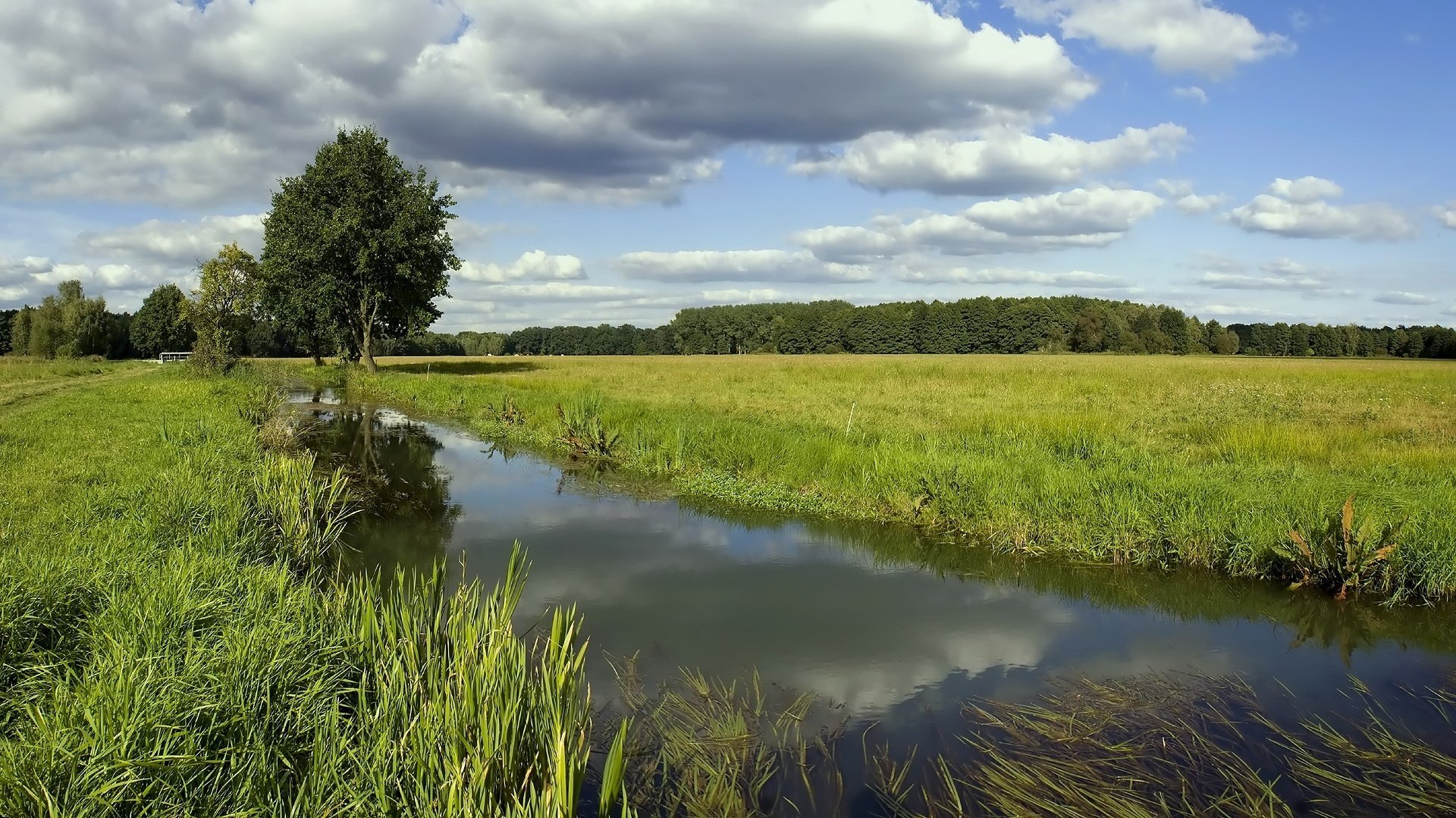 mountain river grassy banks clouds the sky field river