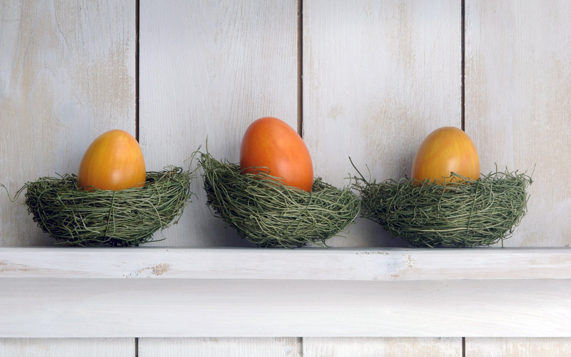 nidi di vimini scaffale testicoli pasqua albero sfondo colori