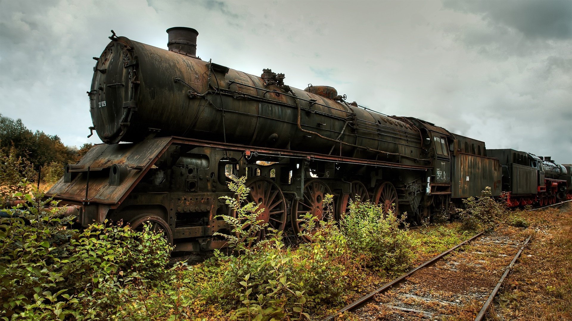 tren viejo casco oscuro rieles crecidos transporte vagón arbustos nubes cielo gris matorrales rareza