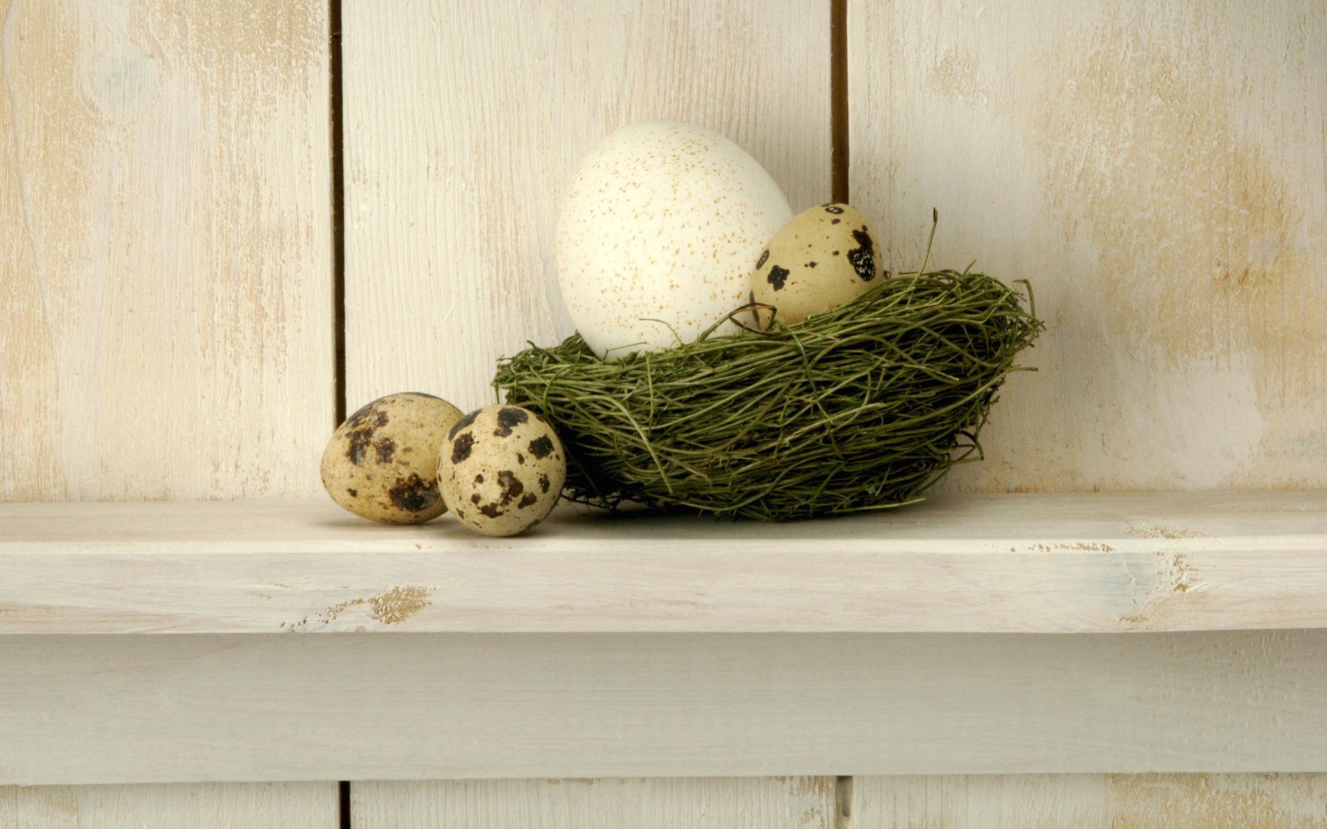 quail eggs nest the fence shelf tree background basket