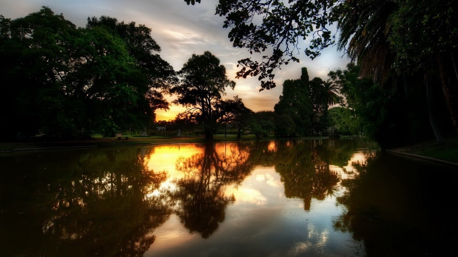 lumière rouge soleil miroir de la nature arbres coucher de soleil eau parc réflexion soir nature