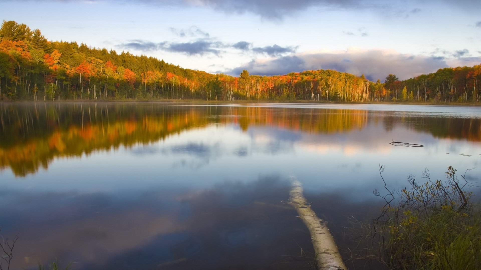 réflexion de la forêt eau de verre automne eau lac paysage couleurs vives surface nature vue