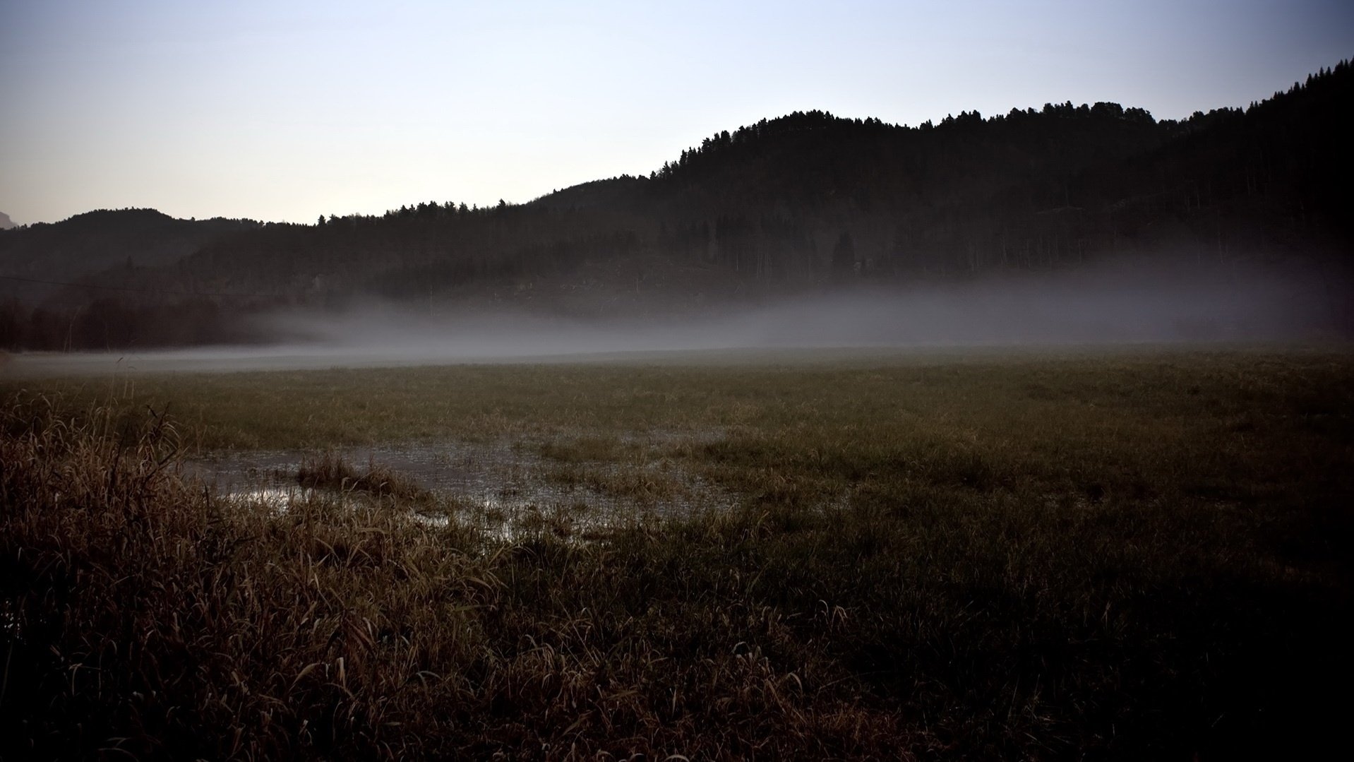 brouillard au pied des montagnes herbe montagnes automne herbe sèche champ ciel