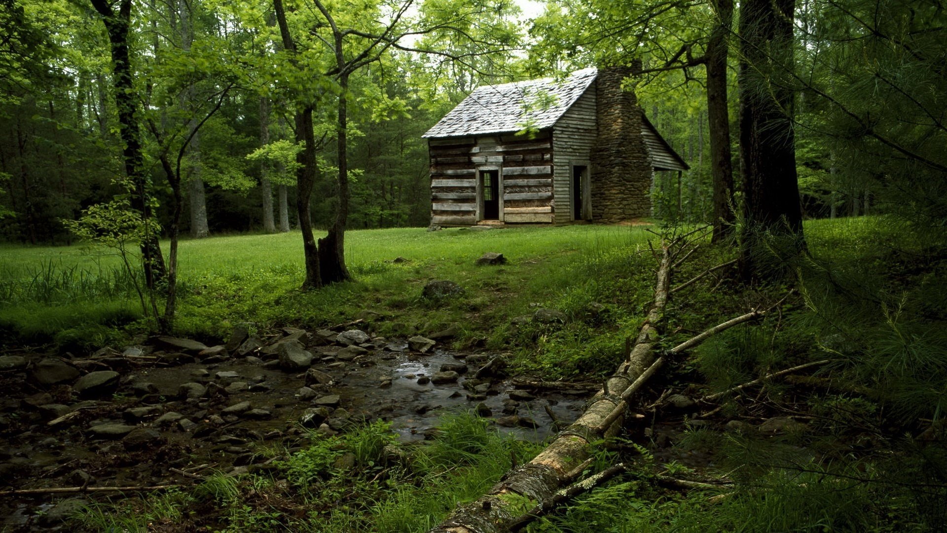 bach unten holzhaus wald bäume land gras blätter sommer