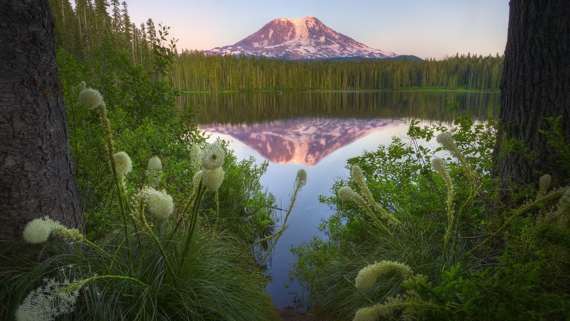 the beauty of the mountains field grass glass water mountains lake reflection forest greens vegetation nature landscape