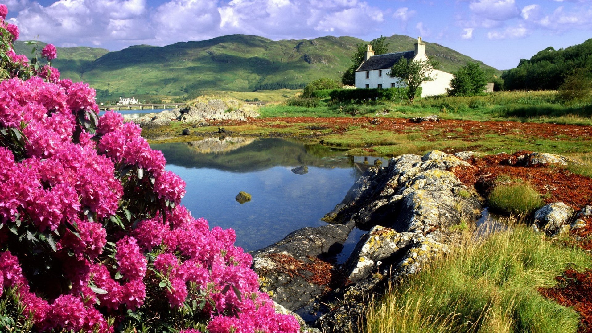 bright flower spring the lake house mountains home lake pink flowers bright colors landscape nature the bottom clouds green