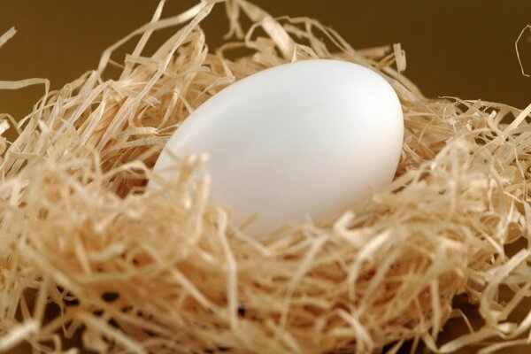 Jajko wielkanocne w gnieździe z wiórków