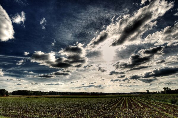 Extraordinary clouds over a plowed field