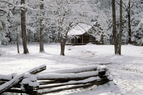 Das Haus des Försters im Winter im Wald