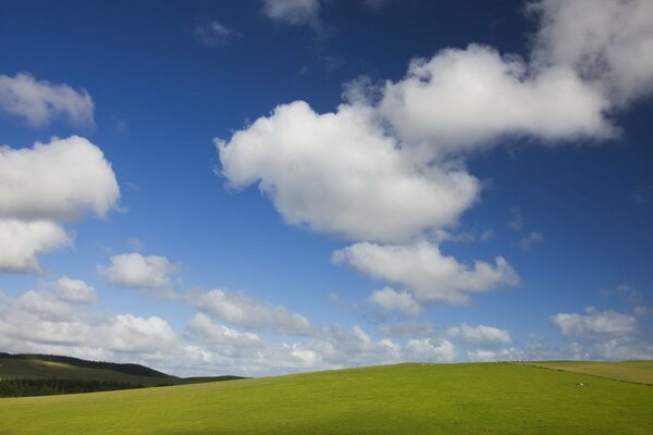 Beau champ avec des nuages