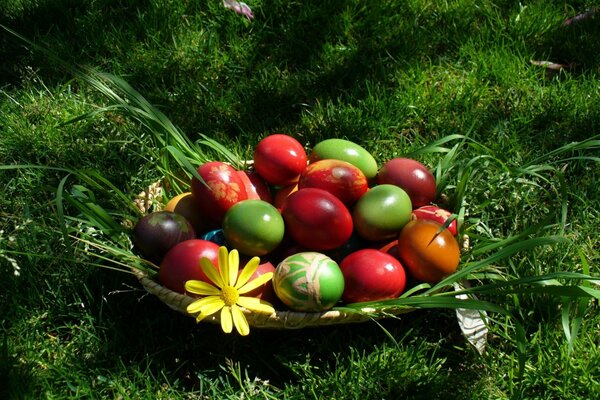 Juicy spring greens. Bright krashanki