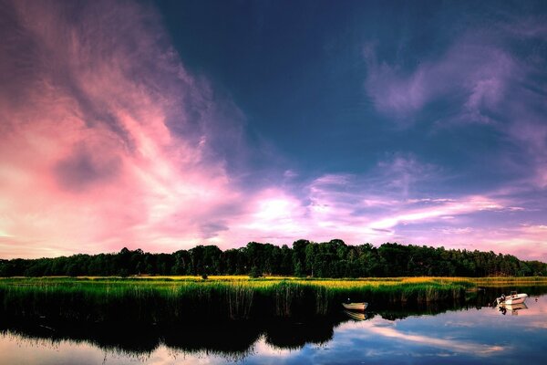 Pink twilight sky over a green island