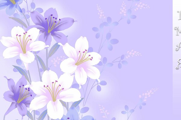 Fleurs violettes et blanches sur fond violet