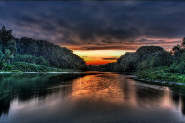 Mirror image of the forest surface