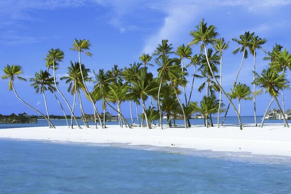 Белый песок на пляже в тропиках на морском побережье