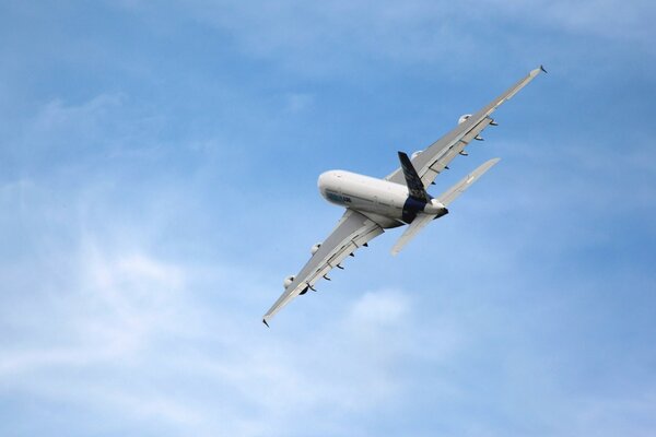 Und so flogen die Touristen wieder mit dem Airbus