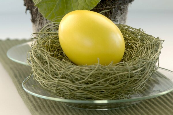 Nido de huevo de Pascua en un plato