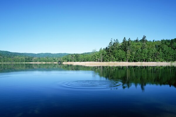 La superficie del espejo del lago perturbada por grandes círculos en ella